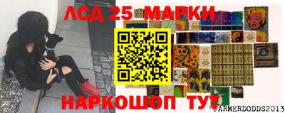 крисы Будённовск