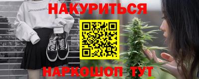 крисы Будённовск
