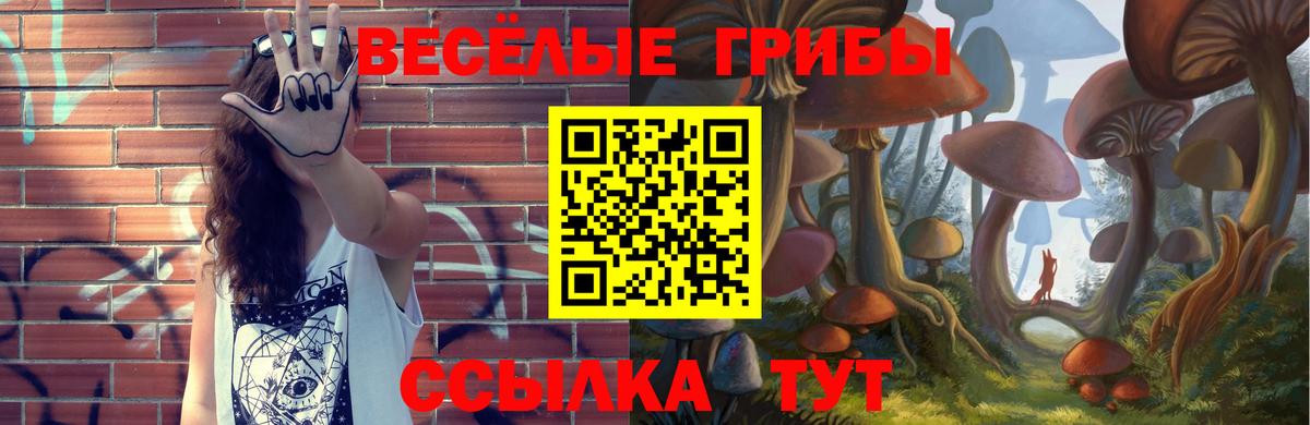 Ялуторовск  Псилоцибиновые грибы мицелий  Вход с VPN  Галлюциногенные грибы прущие грибы 